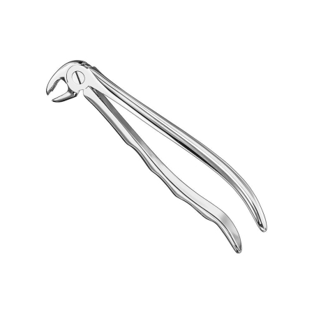 Extracting forceps, engl